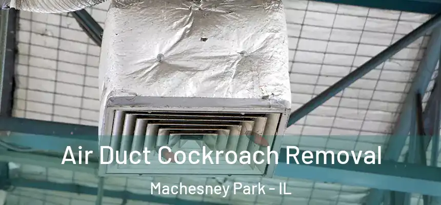 Air Duct Cockroach Removal Machesney Park - IL