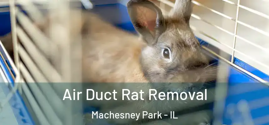 Air Duct Rat Removal Machesney Park - IL