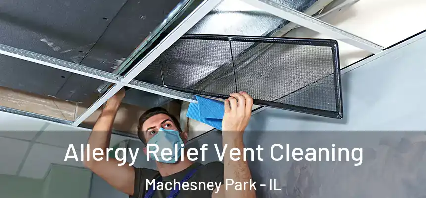 Allergy Relief Vent Cleaning Machesney Park - IL