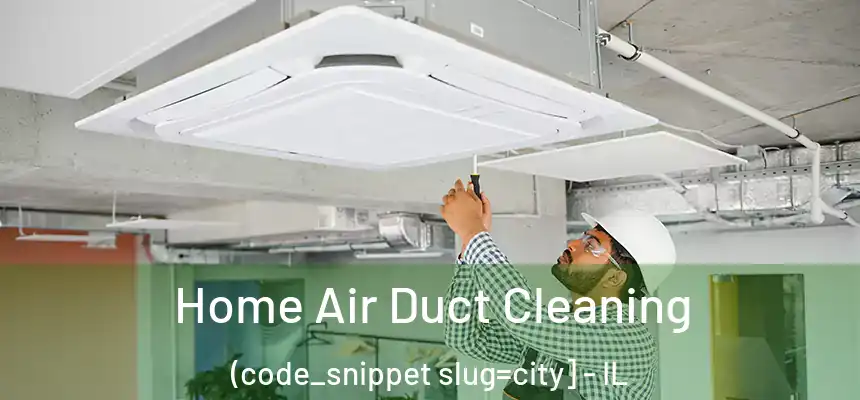  Home Air Duct Cleaning (code_snippet slug=city] - IL
