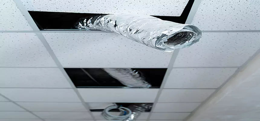 Affordable HVAC Sanitizing After Pest Removal in Machesney Park