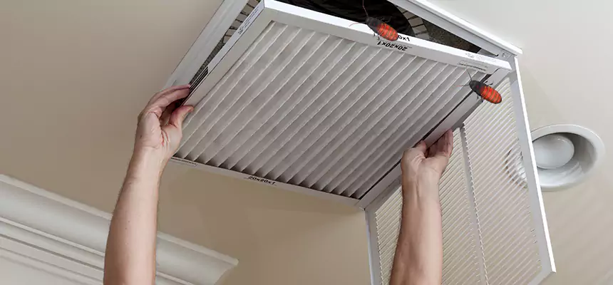 Our Insect Removal from Air Ducts Services in Machesney Park, IL