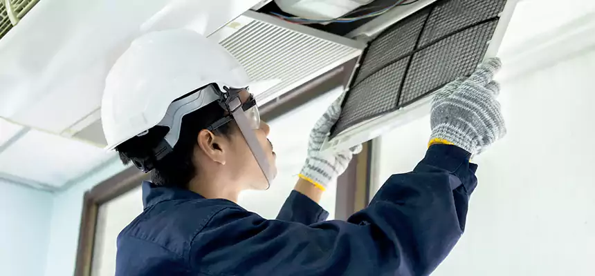 Our Mold & Mildew Removal from Air Ducts Services in Machesney Park, IL