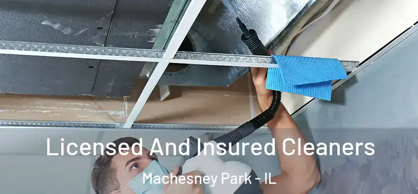 Licensed And Insured Cleaners Machesney Park - IL