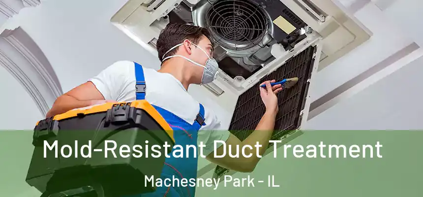  Mold-Resistant Duct Treatment Machesney Park - IL