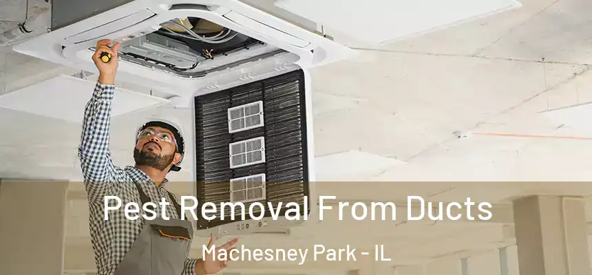 Pest Removal From Ducts Machesney Park - IL