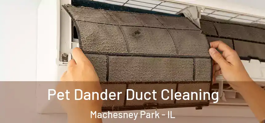  Pet Dander Duct Cleaning Machesney Park - IL