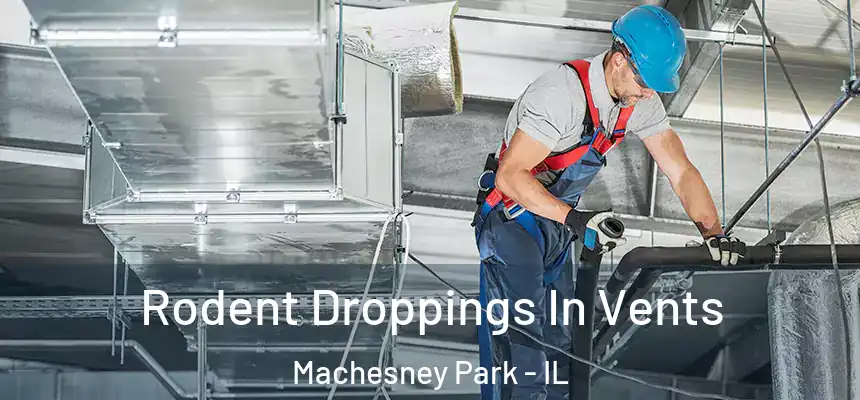  Rodent Droppings In Vents Machesney Park - IL