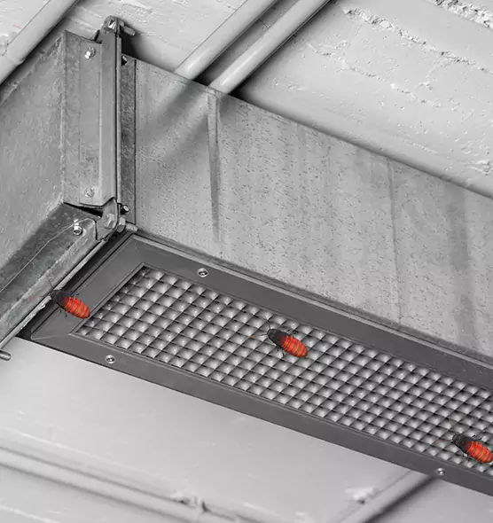 About Air Duct Cockroach Removal in Machesney Park, IL