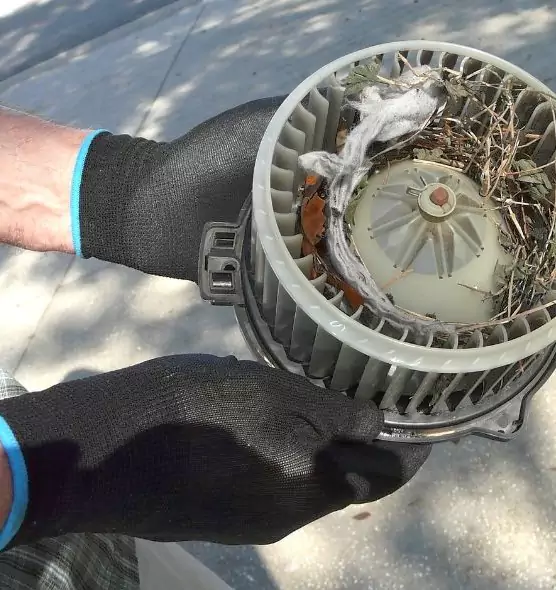 About Air Duct Rat Removal in Machesney Park, IL