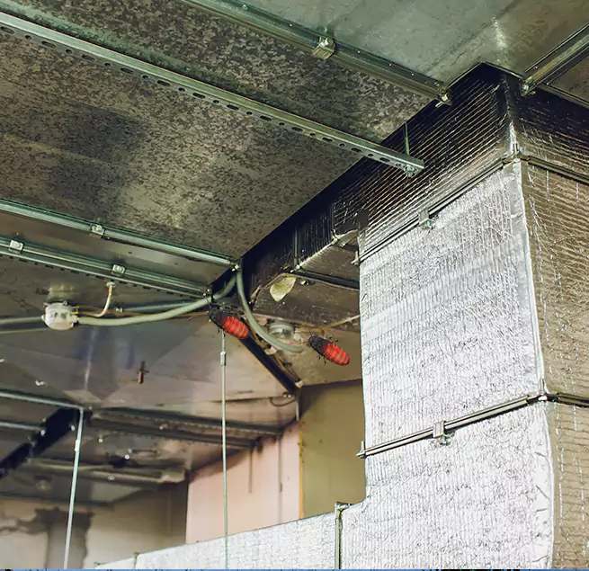 Why Homeowners & Businesses Trust Us in Machesney Park, IL?