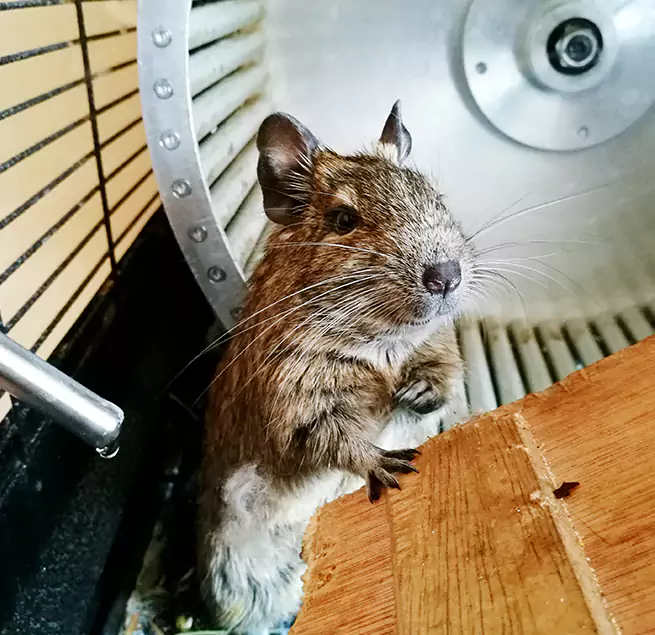 Why Homeowners & Businesses Trust Us Machesney Park, IL